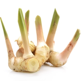 Củ riềng đông lạnh - Frozen Galangal