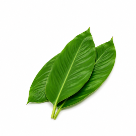 Lá dong đông lạnh - Frozen Dong Leaves