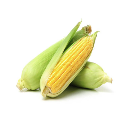 Bắp ngọt đông lạnh - Frozen Sweet Corn