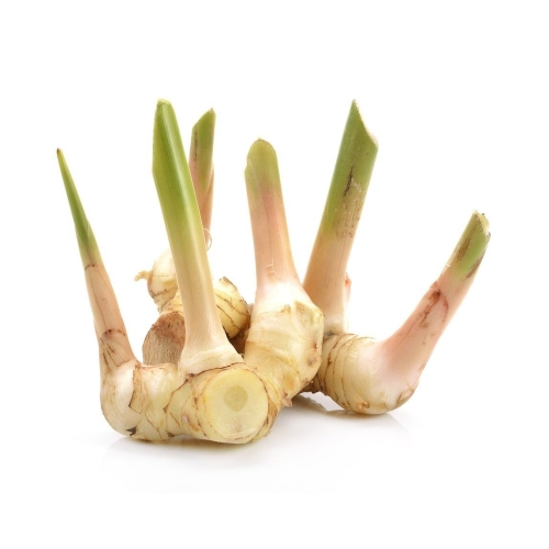 Củ riềng đông lạnh - Frozen Galangal