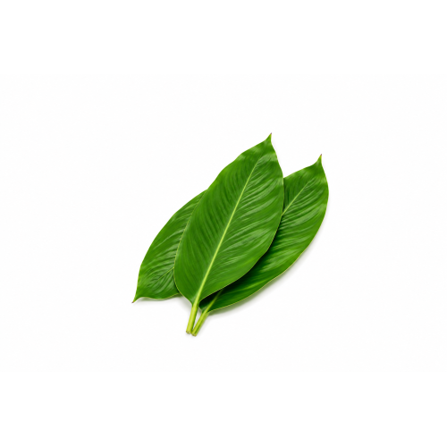 Lá dong đông lạnh - Frozen Dong Leaves