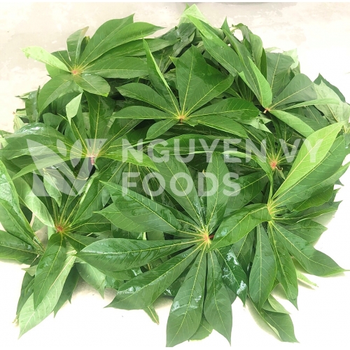 Lá khoai mì đông lạnh - Frozen Cassava Leaves