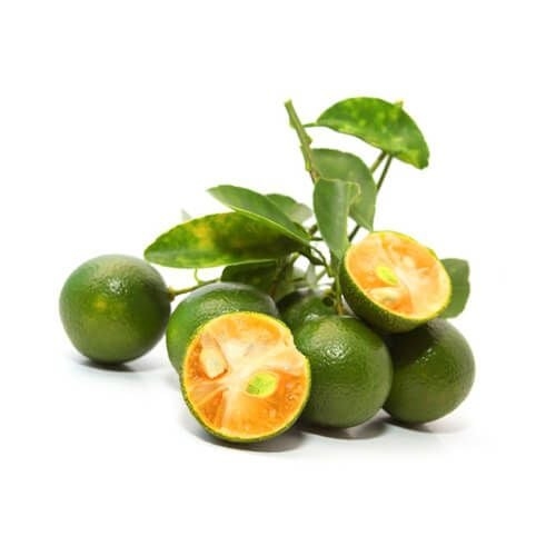 Trái tắc đông lạnh - Frozen Calamansi